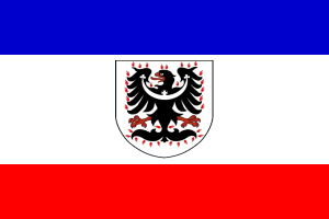 Svatováclavská-zástava